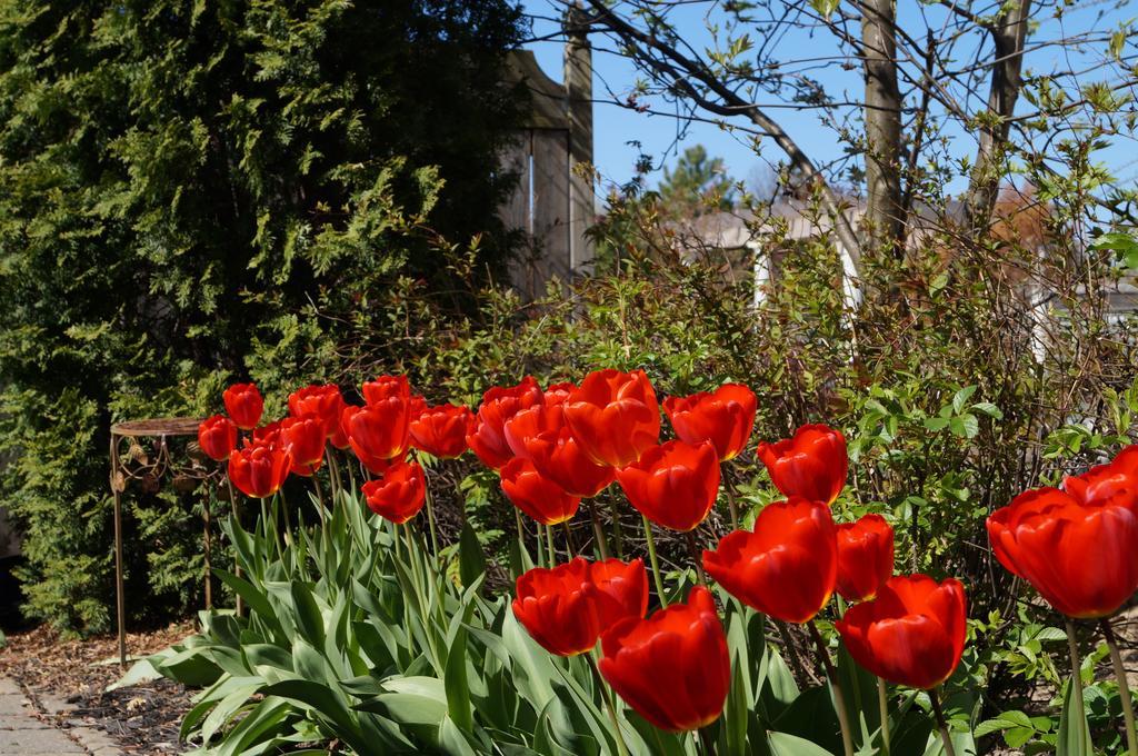Bed and Breakfast In Elegance Niagara-on-the-Lake Exteriér fotografie